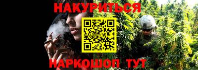 ALPHA PVP Пугачёв