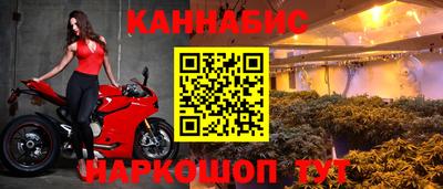 ALPHA PVP Пугачёв