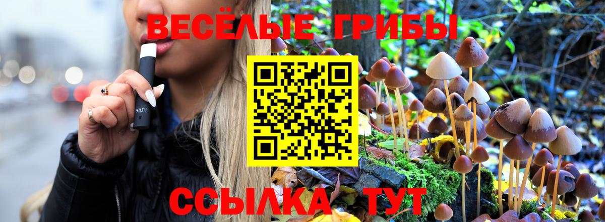 Чернушка  Псилоцибиновые грибы мухоморы  купить наркоту  Вход с VPN 