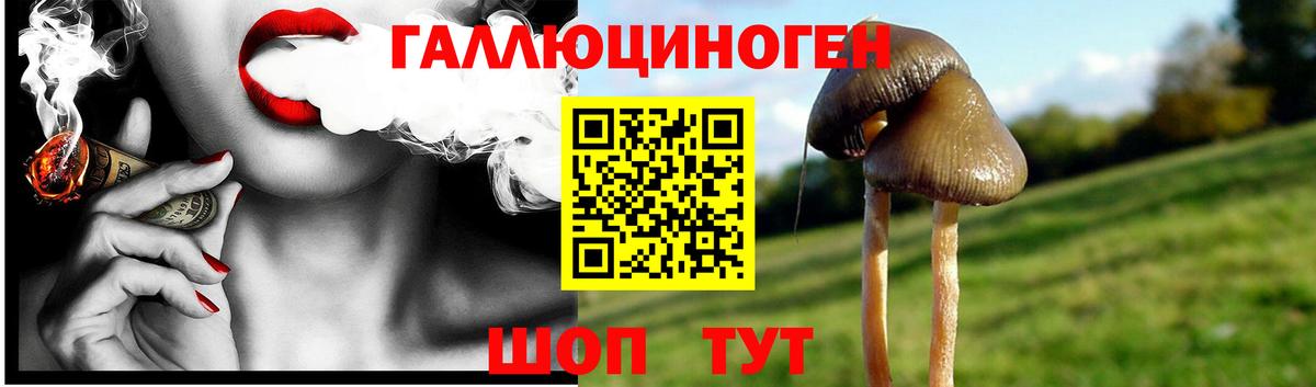 Галлюциногенные грибы MAGIC MUSHROOMS Чернушка